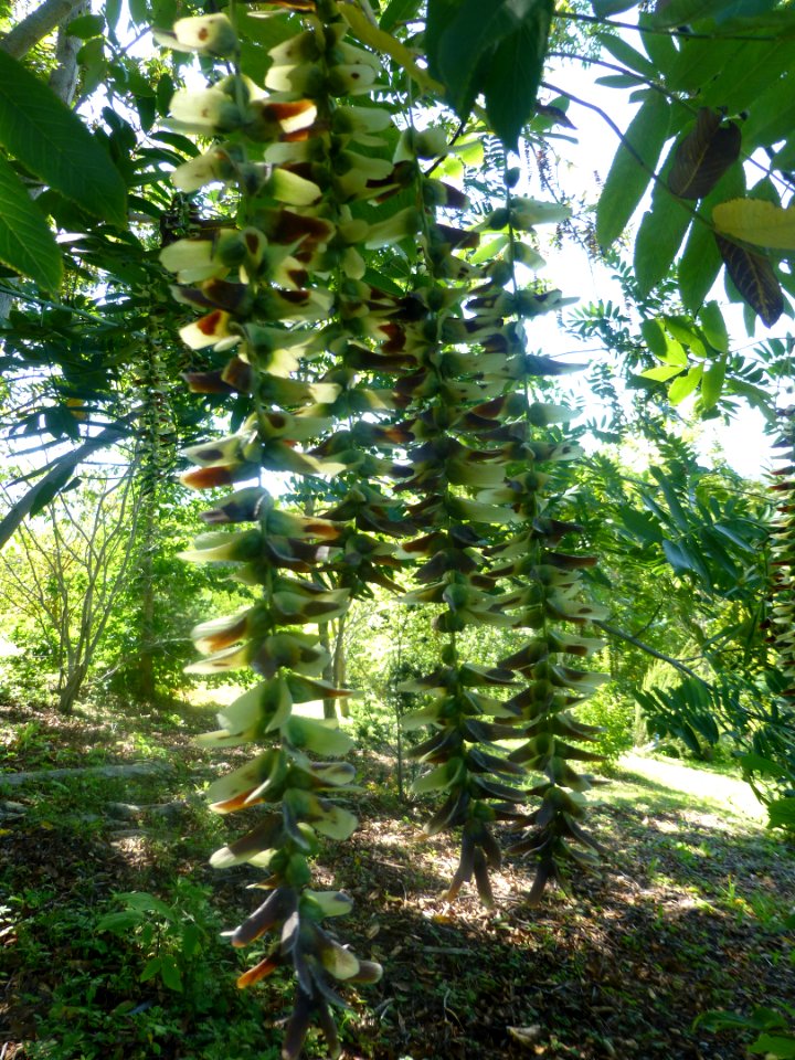 P1060052 