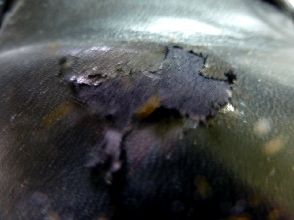 P1060099 