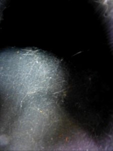 P1060130 