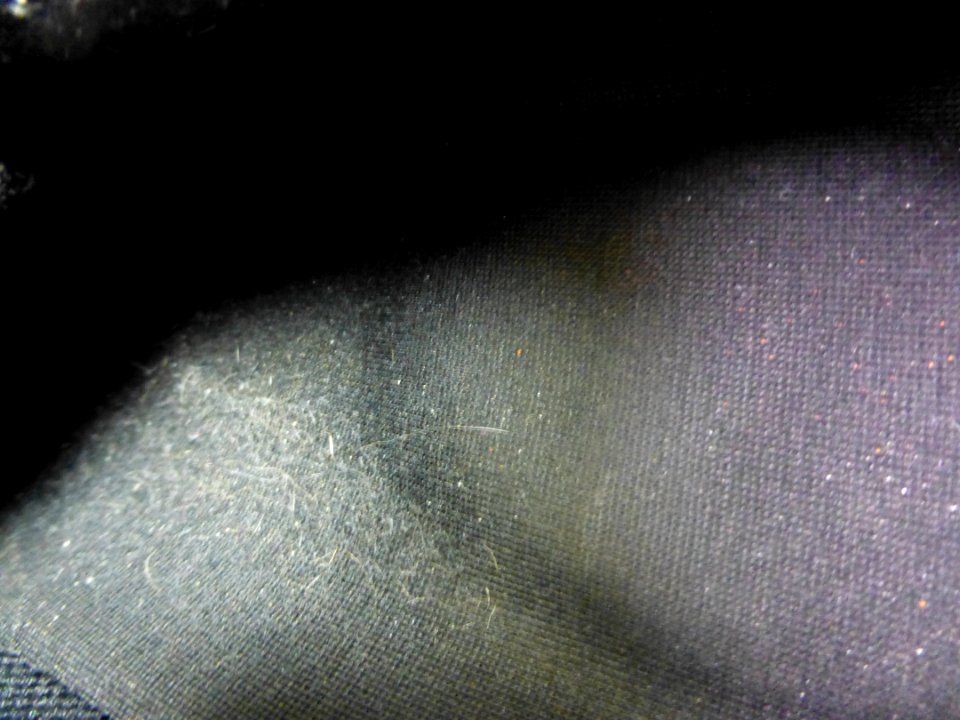 P1060125 