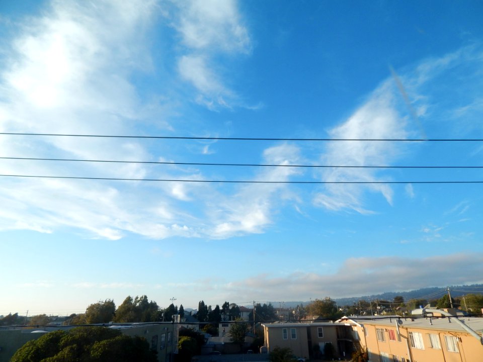 DSCN0099 