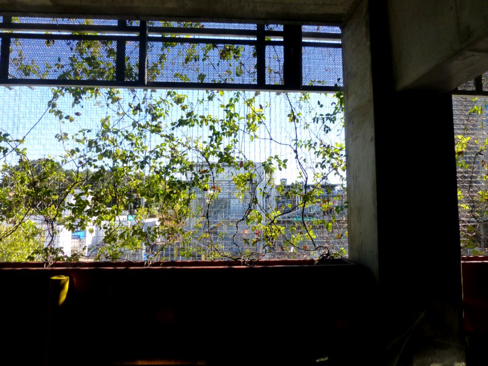 P1060170 