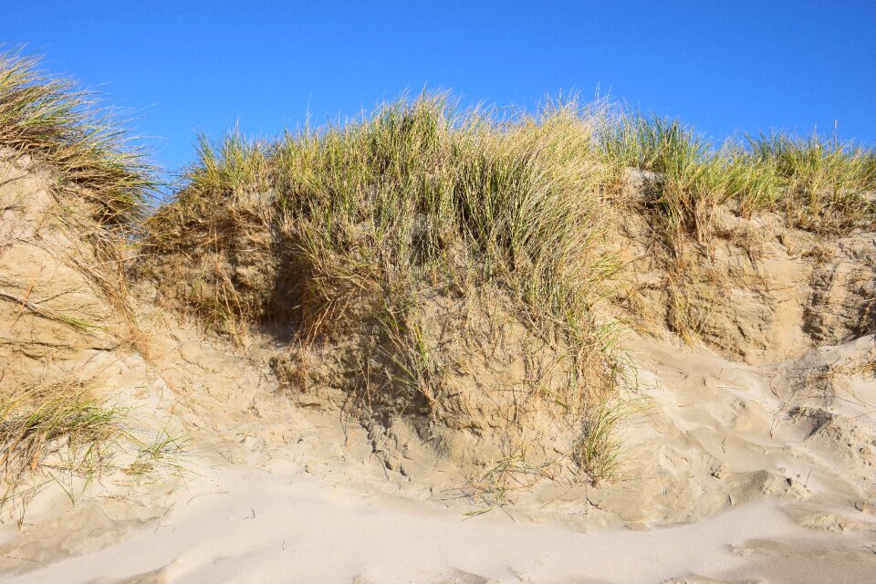 Sand north sea denmark