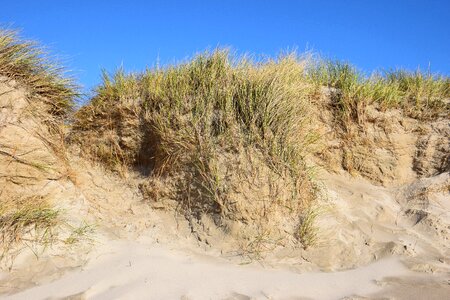 Sand north sea denmark photo
