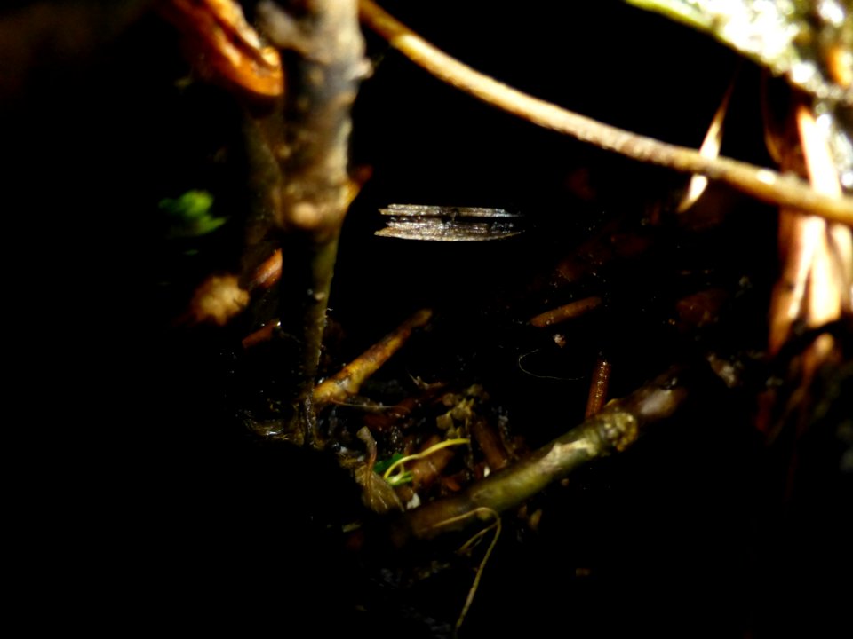 P1050993 