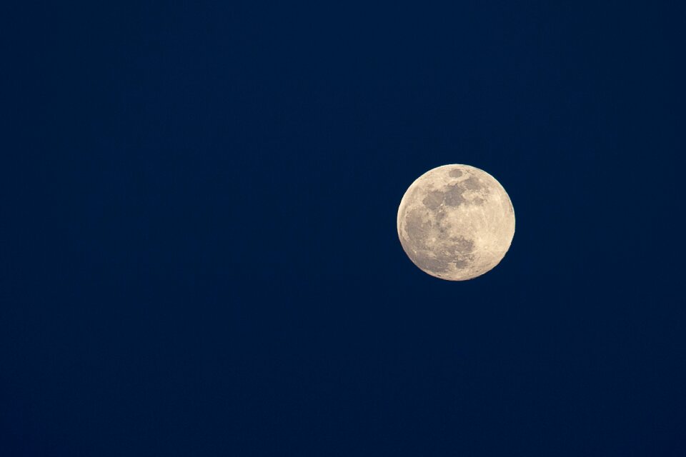 Brown dark blue luna