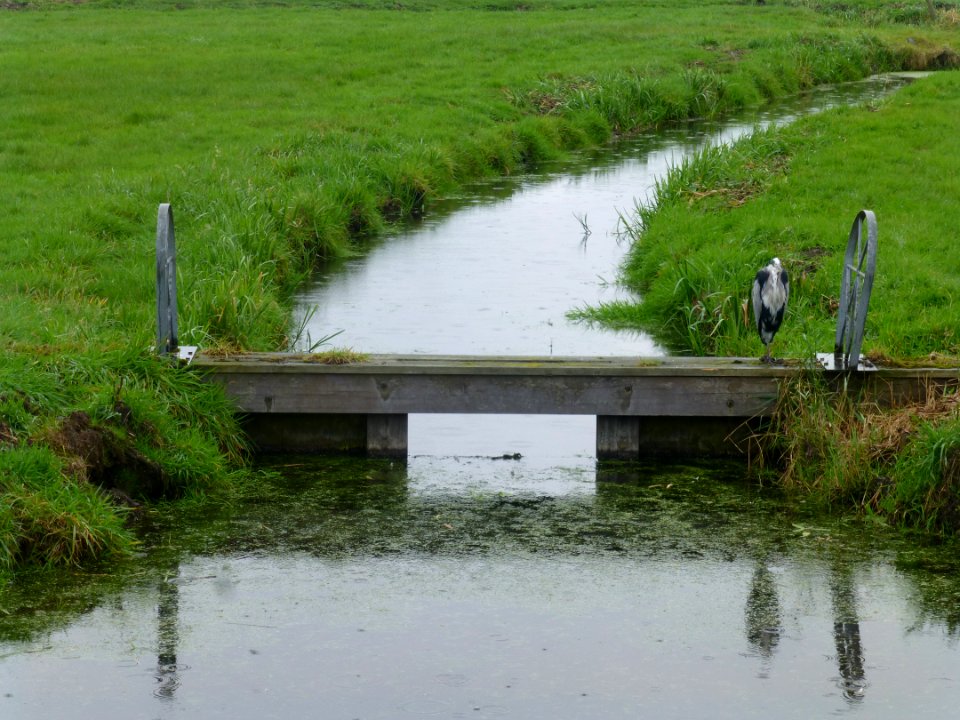 P1060247 
