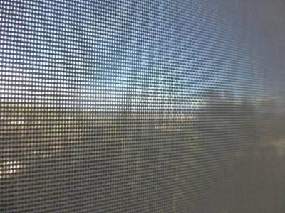 P1060461 