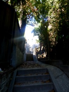 P1060497 