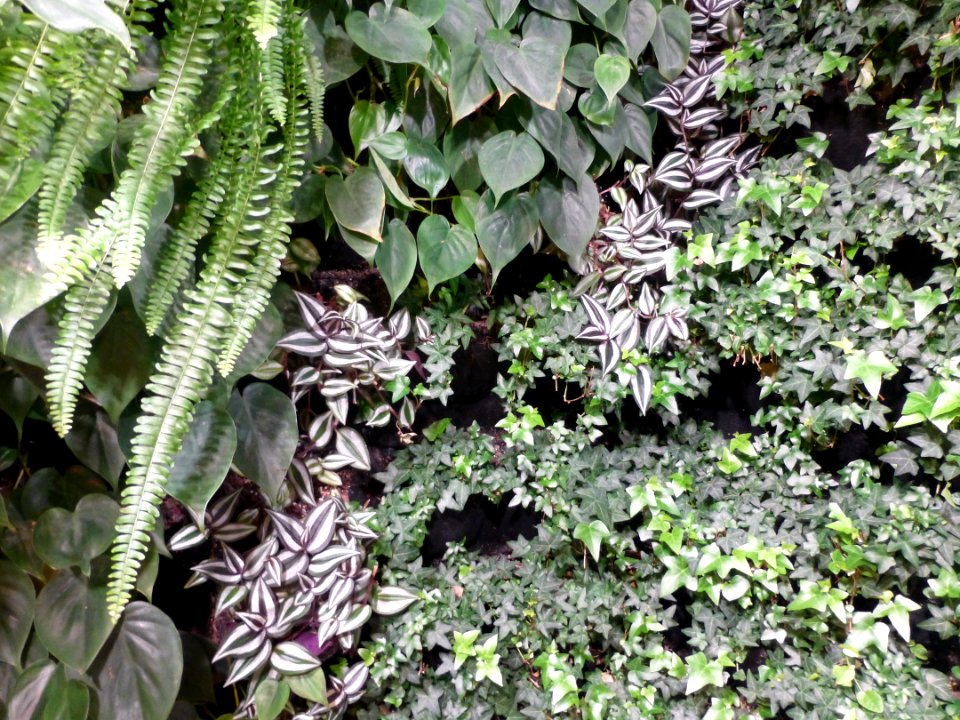 P1060181 