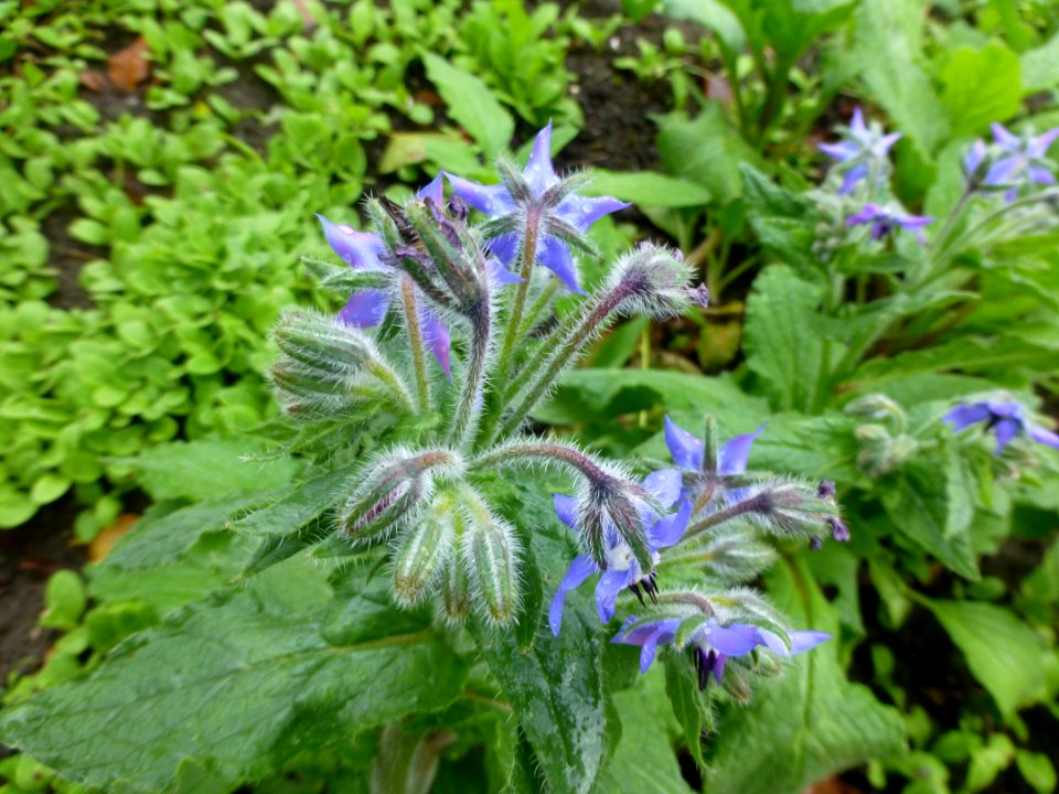 P1060224 