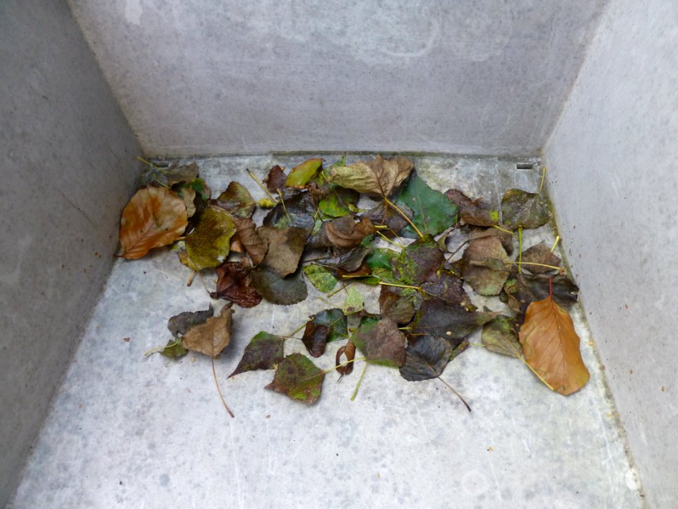 P1060198 