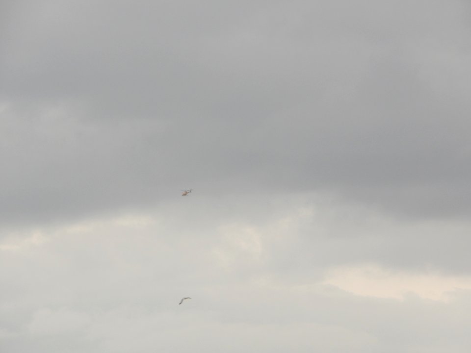 DSCN0111 