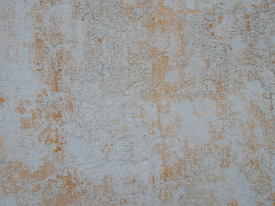 DSCN0426 