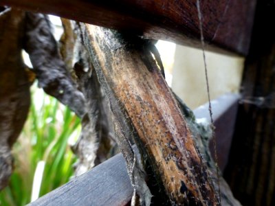 P1060381 