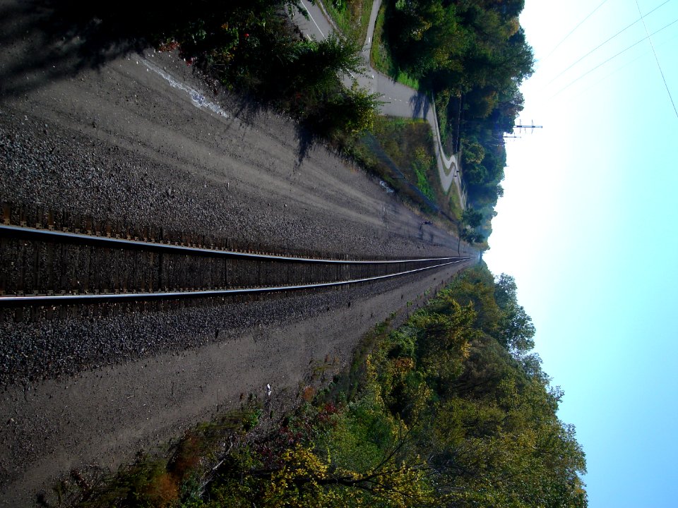 dsc02481.jpg 