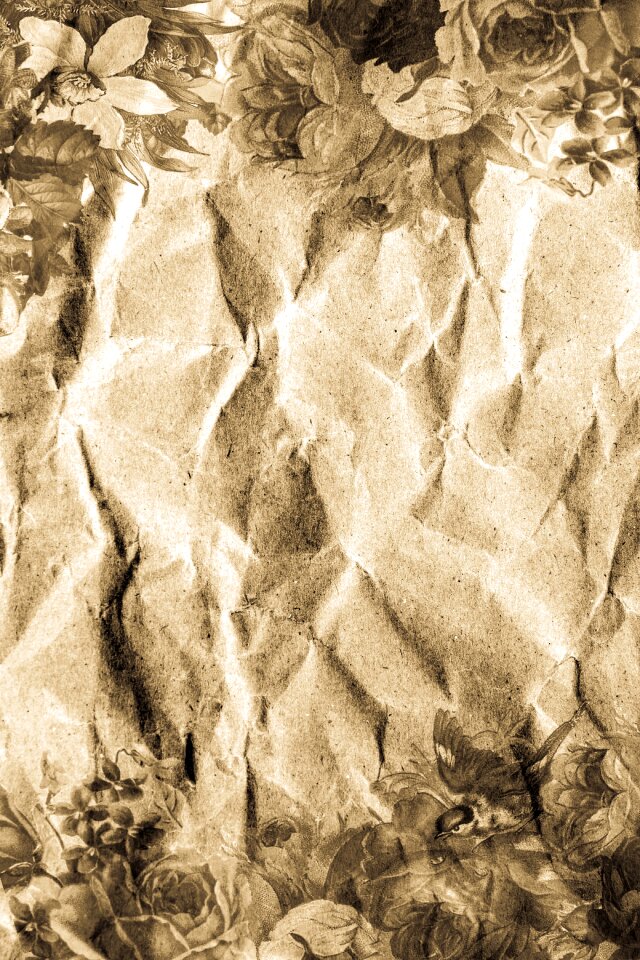 Background old paper grunge
