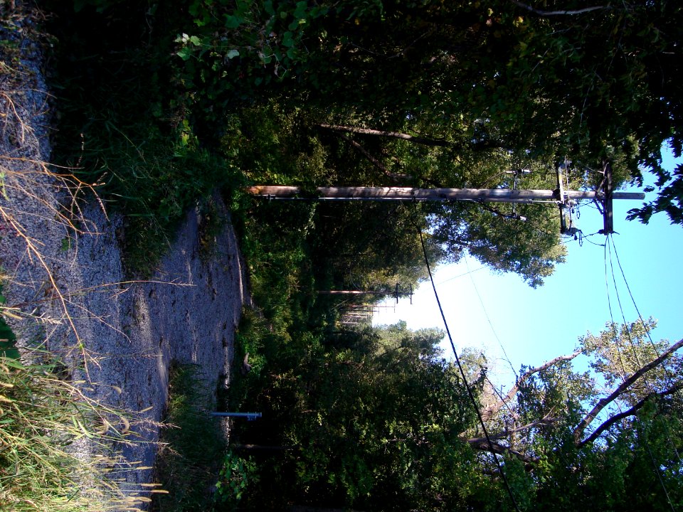 dsc02482.jpg 