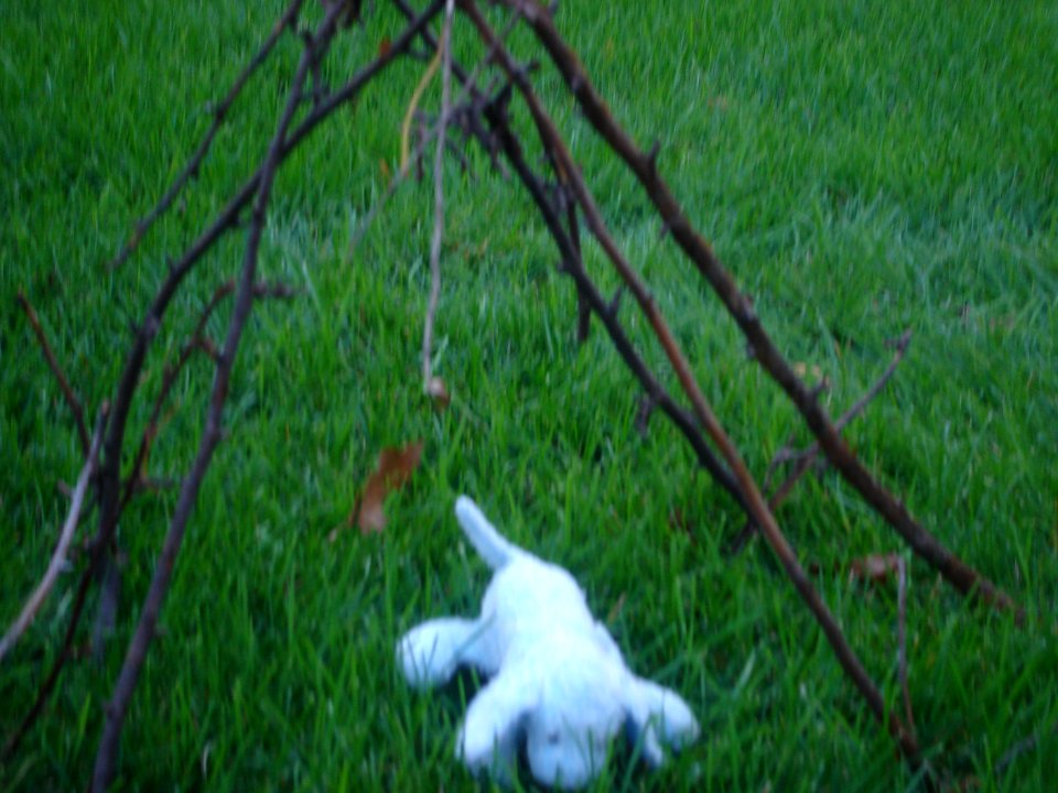 dsc02495.jpg 
