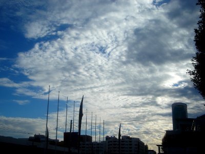 dsc02548.jpg 
