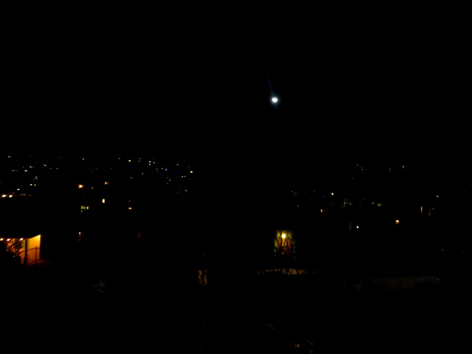 P1060494 