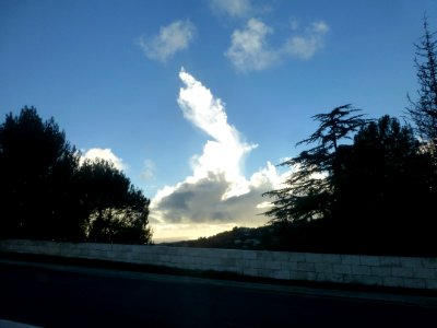 P1060488 