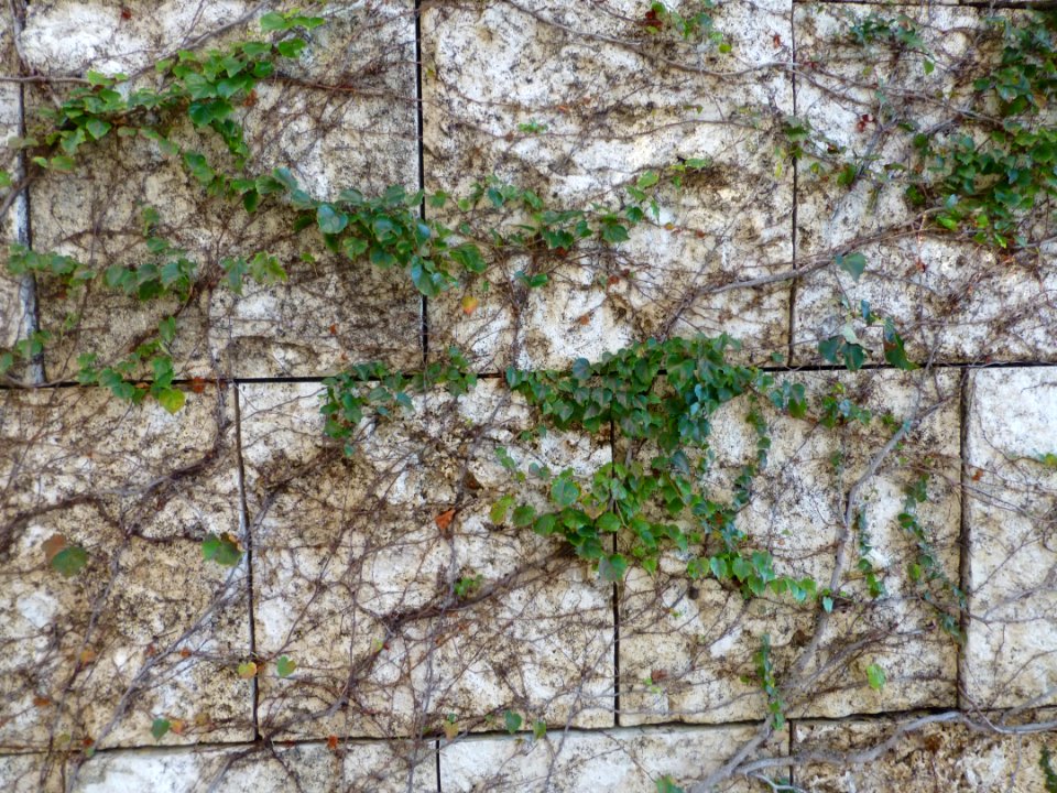 P1060475 