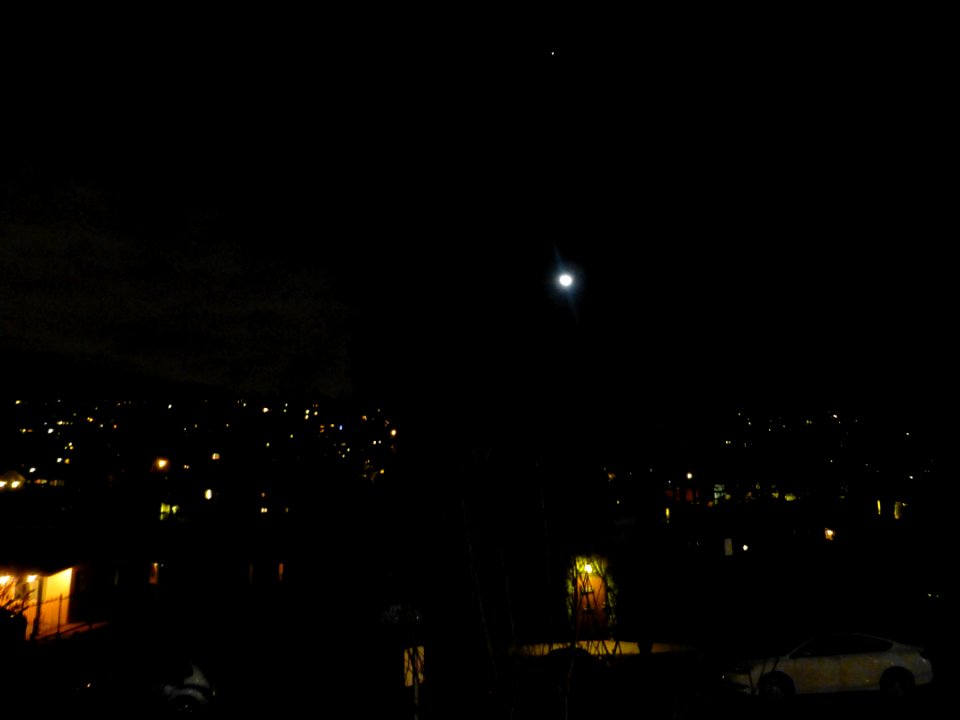 P1060496 