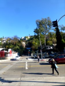 P1060499 