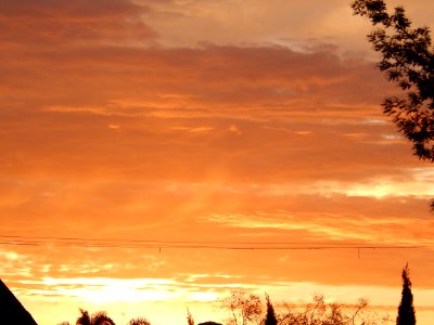 DSCN0538 