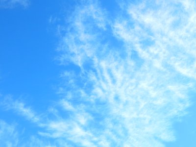 DSCN0534 