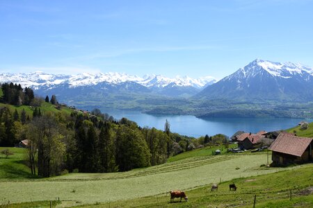 Mountains thun hausberg switzerland photo