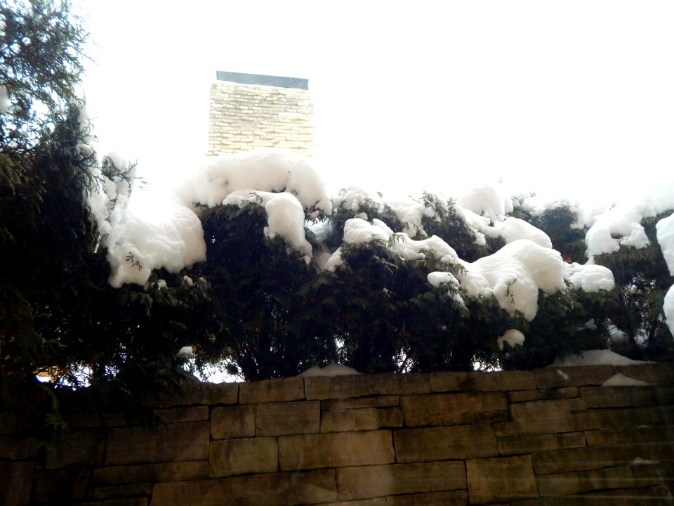 DSCN0633 