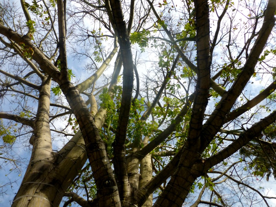 P1060412 