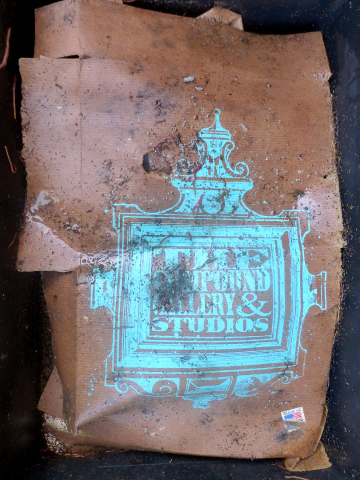 P1060546 