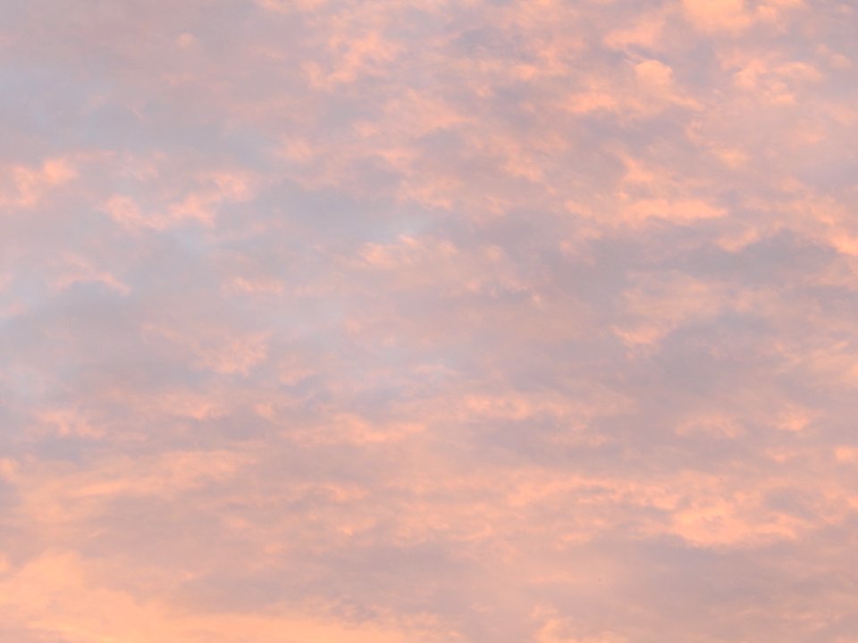 DSCN0539 
