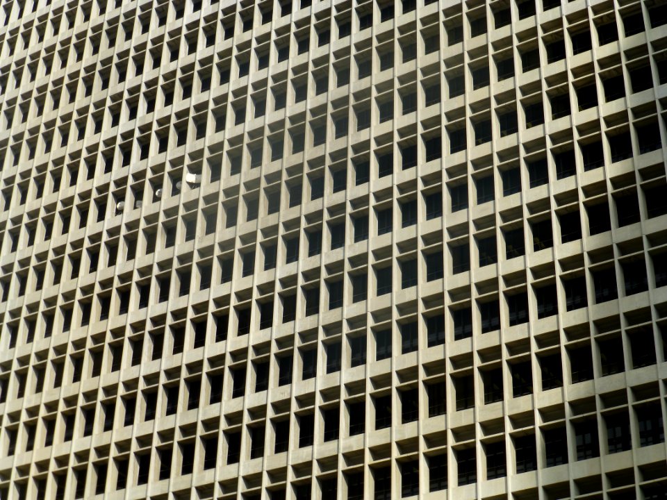 P1060411 
