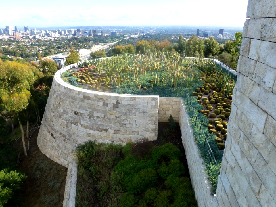 P1060456 