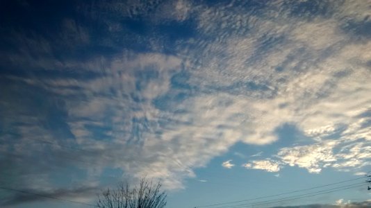 IMG_20150118_170040684_1 