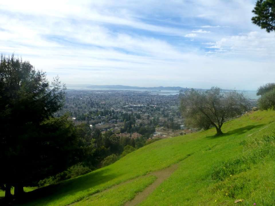 P1060586 