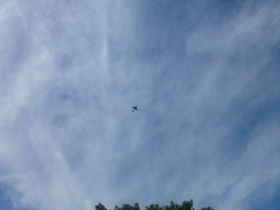 P1060589 
