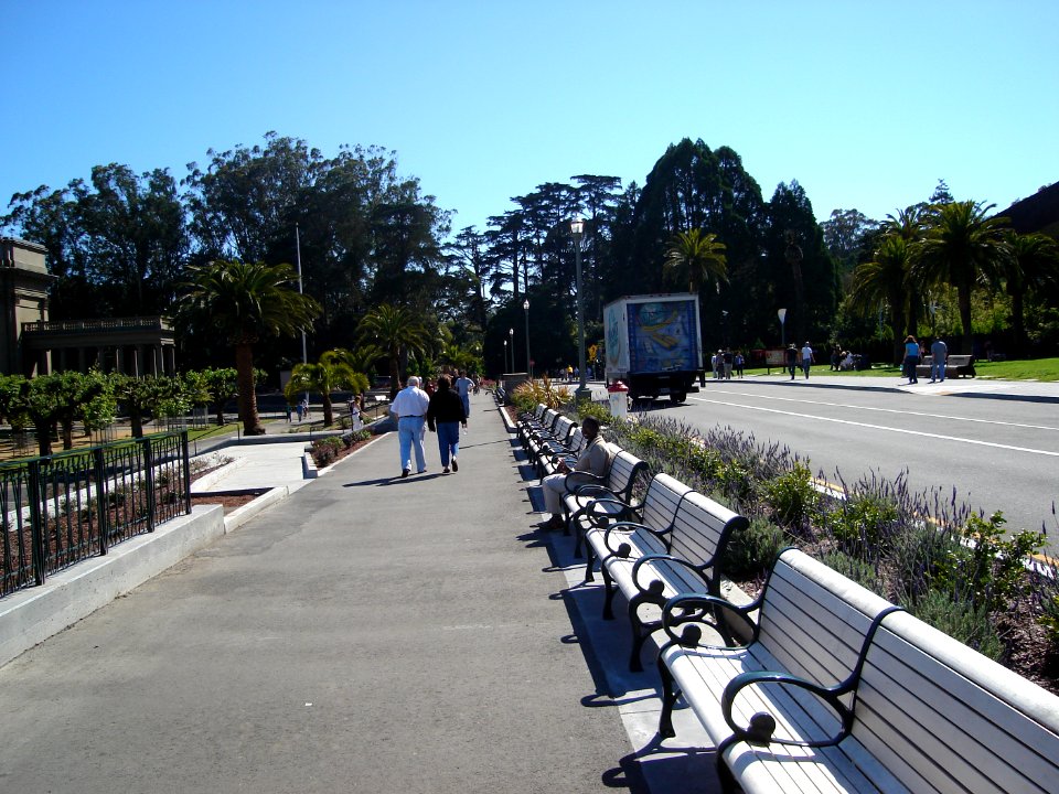 dsc00219.jpg 
