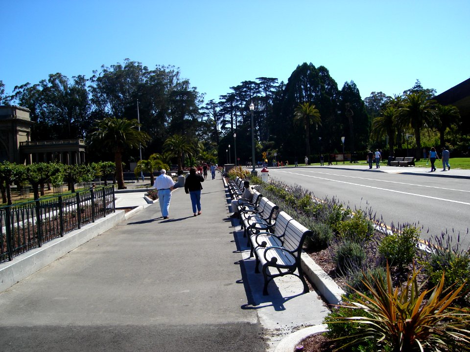 dsc00218.jpg 