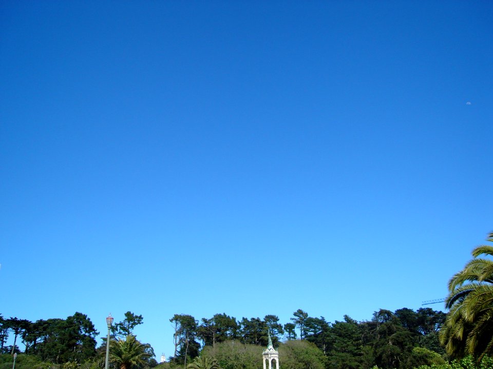 dsc00217.jpg 