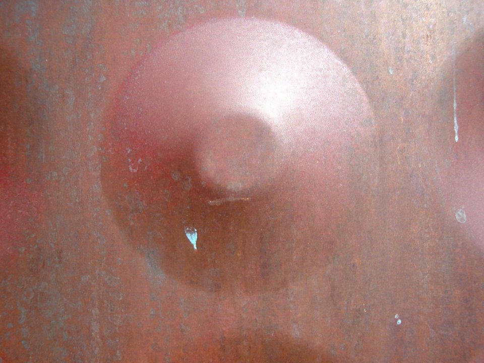 dsc00209.jpg 