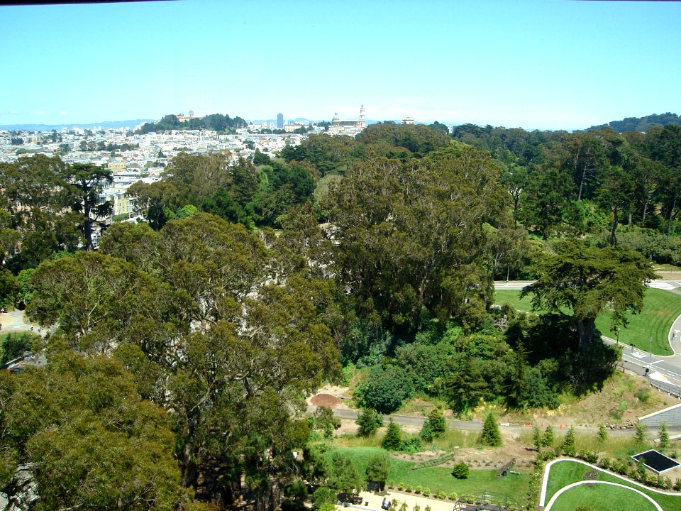 dsc00203.jpg 