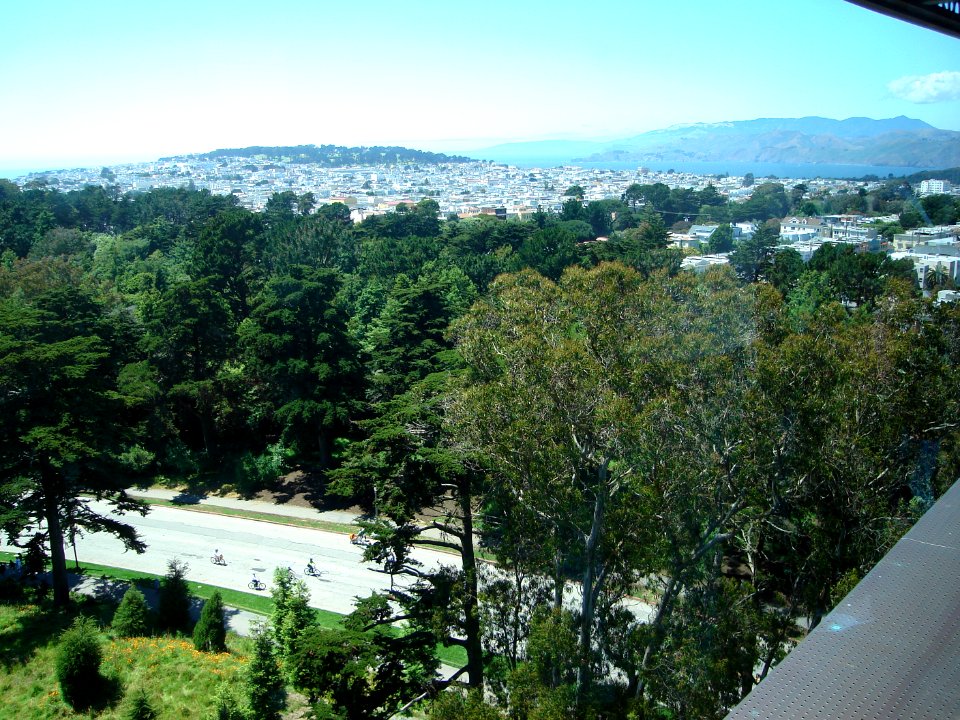 dsc00202.jpg 
