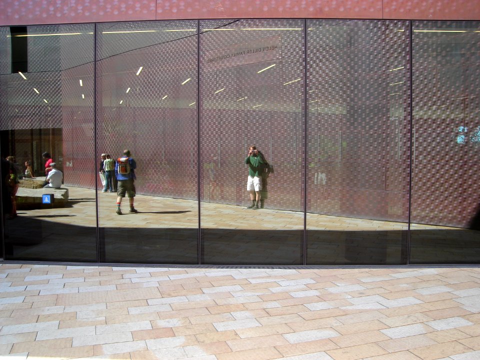 dsc00206.jpg 