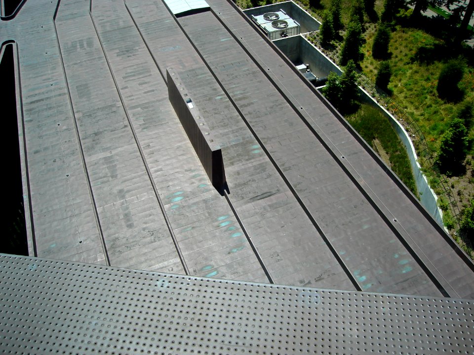 dsc00201.jpg 