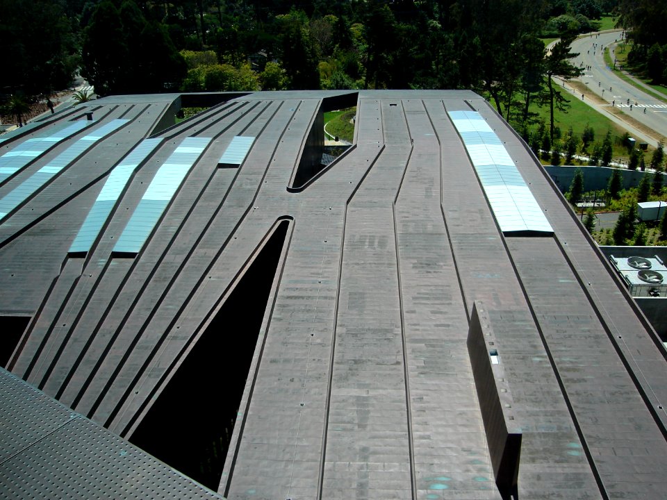 dsc00200.jpg 